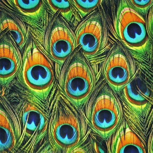 peacock feather digital - középvastag prémium szövet méteráru