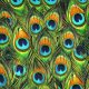 pávatoll - peacock feather digital - középvastag prémium szövet méteráru