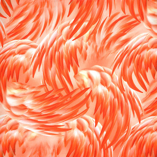 imaginings - feathers in flamingo - designer pamut méteráru