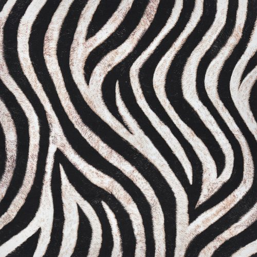 animal kingdom - zebra in wild - designer pamutvászon méteráru