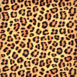 leopárd minta - animal kingdom - leopard in wild - designer pamutvászon méteráru