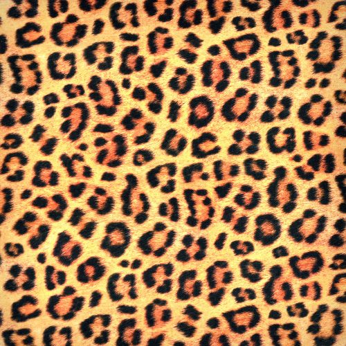 animal kingdom - leopard in wild - designer pamutvászon méteráru