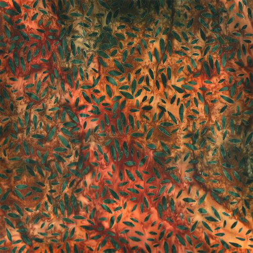 levelek - sonoma vista - leaves in spice - batikolt kézműves designer pamut méteráru