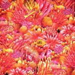 korallzátony - coral canyon - coral in ember - designer pamutvászon méteráru